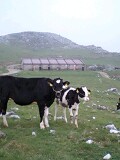 2012.5.7ylJXgzJXg̑nɋqĂB