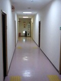 2012.5.17ykR Ȃ̋ɏhz