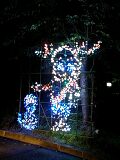 2012.7.13ykR Ȃ̓z